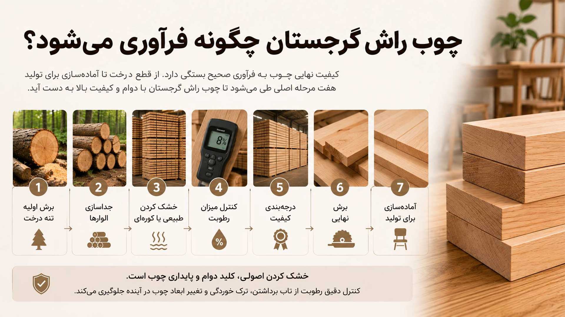 نحوه فراوری چوب راش گرجستان